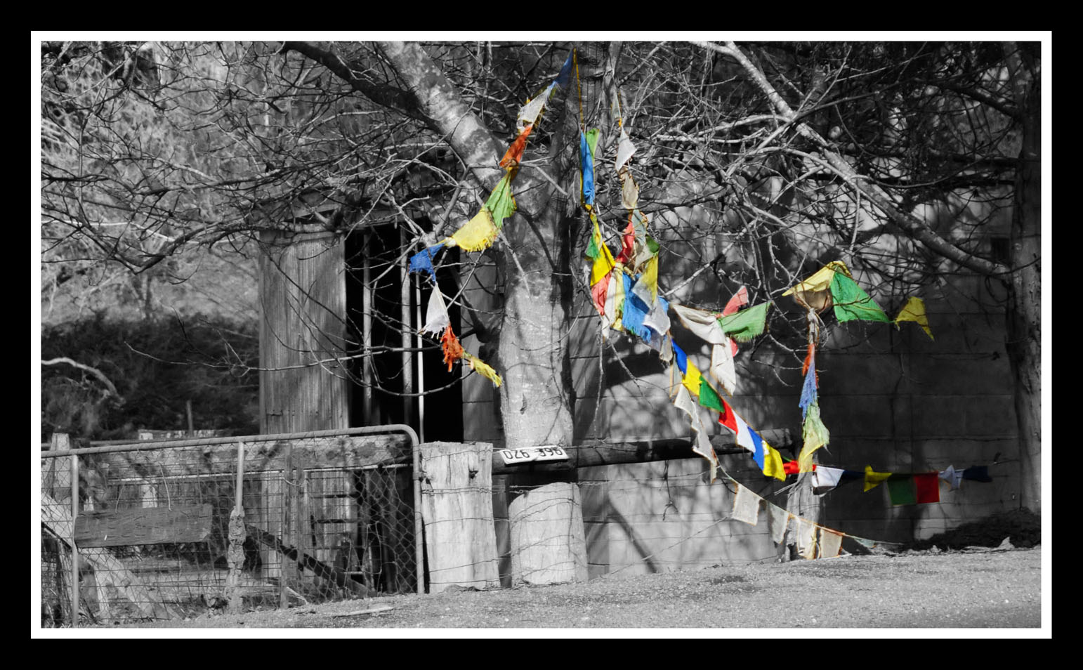 Prayer Flags Colour & B&W small.jpg